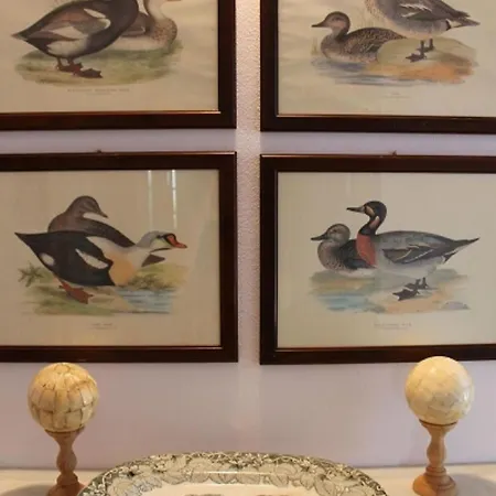 مزرعة للإقامة Relais Pugliano *