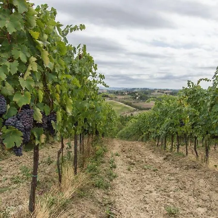 ファームステイ Relais Pugliano